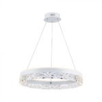 25W Lampă Suspendată de Design Singur Inel 3000K Corp Alb
