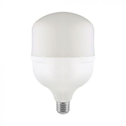Bec LED 60W Plastic T160 6500K
