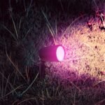 LED Spike 5.2W RGB Corp Negru IP65 - Image 2