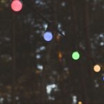 Ghirlandă Luminoasă LED 10m 20 x 0.5W EU Becuri RGBY - Image 2